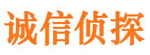 九龙外遇出轨调查取证